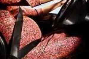 خانم-باردار-پشت-فرمان