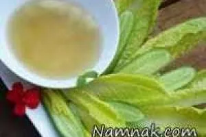 کاهو سکنجبین