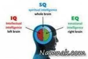 هوش هیجانی یا EQ