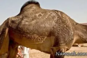 تصاویر جالب