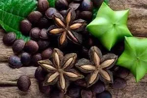 گیاه اینکا اینچی