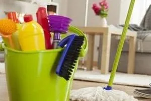 تمیز کردن حانه