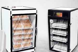 ماشن جوجه کشی