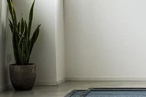 دکوراسیون داخلی