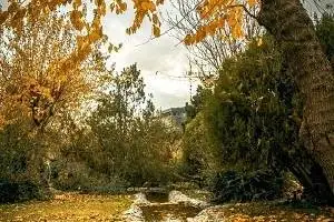 پارک جمشیدیه تهران