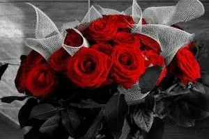 ویژگی گل رز