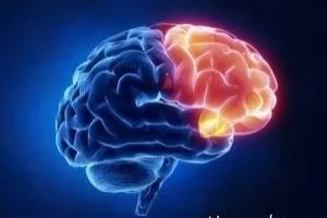 آتروفی مخچه