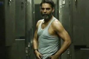 پیمان معادی
