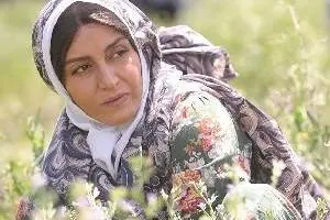 مریلا زارعی