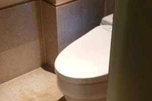 توالت مدرن ژاپنی