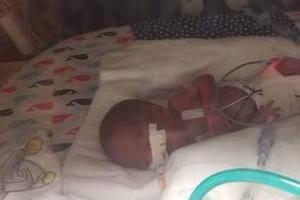 تولد معجزه آمیز