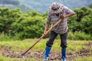 روز جهانی کارگران مزرعه
