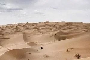 ریگ جن