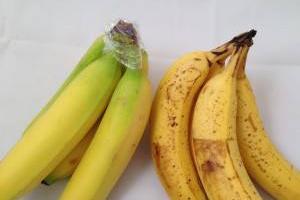 نگهداری موز