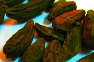 خواص هلیله سیاه