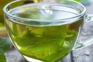 خواص عرق نعناع