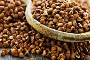 خواص گندم سیاه