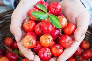 خواص آسرولا