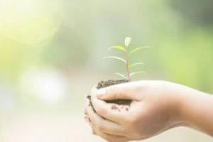 روز درختکاری در جهان
