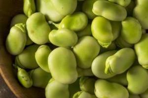 فريز كردن باقلا سبز