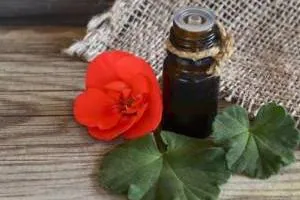 روغن ژرانیوم