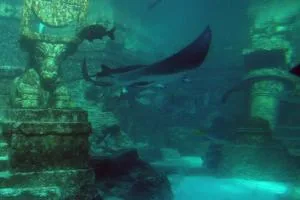 گنج های زیر دریایی