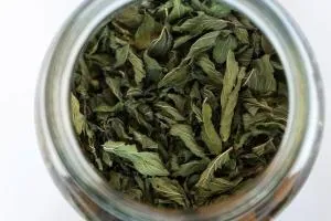 خشک کردن نعناع