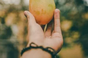 روز جهانی انبه
