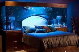 ایده های دکوراسیون