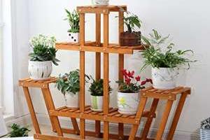 چیدمان گیاهان آپارتمانی