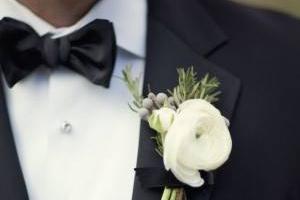 گل کت داماد