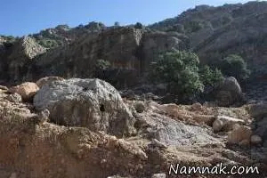 قبر عجیب