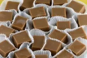 کرم تیرامیسو