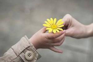 موسسه خیریه