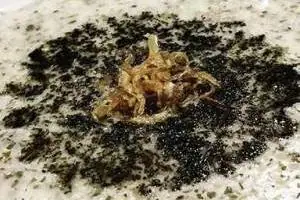 آش جودوغ
