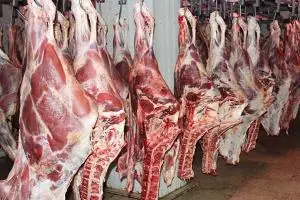 قیمت گوشت