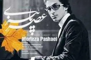  مرتضی پاشایی