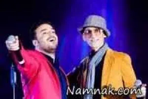 مرتضی پاشایی