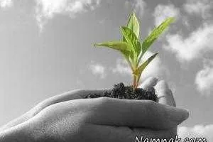 روز درختکاری