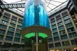 هیجان انگیزترین آکواریوم