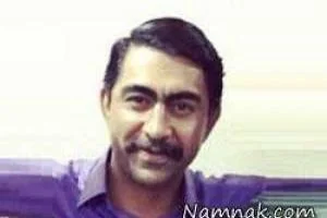 بازیگران سریال پایتخت