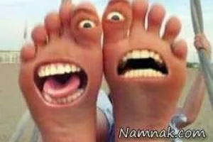خوک