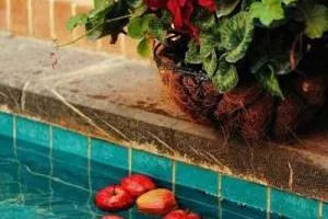 اس ام اس فلسفی