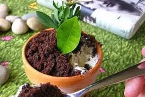 گلدان های در هم