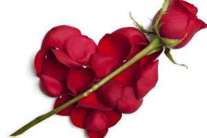 گل های شاخه ای