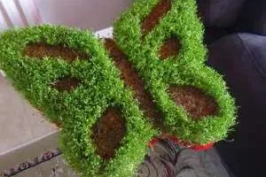 تزیین سبزه عید