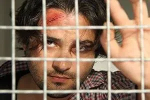 داریوش ارجمند ، مهدی سلوکی و نرگس محمدی