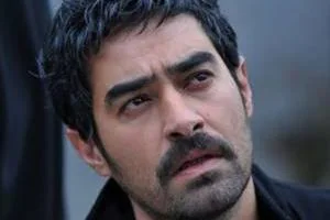 شهاب حسینی