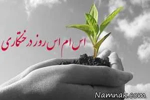 اس ام اس روز درختکاری