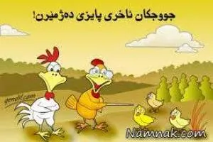 ضرب المثل کردی